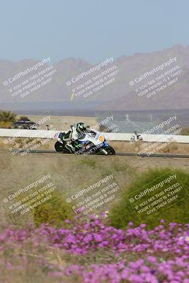 media/Feb-04-2023-SoCal Trackdays (Sat) [[8a776bf2c3]]/Turn 15 Inside Blooming (1050am)/